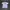 T-shirt Queenlekha 