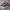 VANS Emo Casual Sneakers Pria white black photo 1