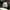 Adidas x JJJJOUND Samba Mig Made in Germany  photo 5