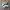 Adidas Indie Casual Sneakers Pria white black photo 1