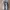 Adidas Indie Casual Sneakers Pria navy gray photo 3