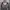 EMO GRUNGE LONG SLEEVE STRIPE photo 4