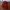 DICKIES DOWN JACKET BULANG SIDE POCKET photo 2