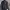 Dickies Jacket Black