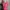 Juicy Couture Pink Striped Velvet Shortsleeves Hoodie (S)