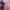 2007 Power Puff Girls Pink All Squad Baby Tannktop (S) photo 2