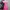 2007 Power Puff Girls Pink All Squad Baby Tannktop (S)