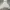 Casual Hoody Wanita gray photo 2