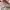 LOUIS VUITTON LUXEMBOURH SAMOTHRACE MULTICOLOR SIZE 9 photo 5