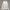 Adidas Sweatshirt Pria White
