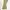 Asster Celana Chino Pants Khakis Cream Reguler Fit  photo 4