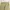 Asster Celana Chino Pants Khakis Cream Reguler Fit  photo 6