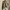 Thursday Island Beige Textured Linen Blazers Single Button photo 2