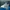 Adidas Casual Casual Shoe Pria White Blue