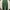 Soft jeans classical elf photo 3