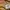 Nike Streetwear Casual Sneakers Pria brown photo 8