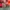 Nike Streetwear Casual Sneakers Pria green orange photo 7