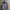 Burton outdoor jacket camouflage photo 5
