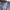 Levi's Biker Casual Casual pants Pria blue photo 5