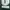 Undercover Casual Windbreaker Pria green photo 3