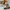 Timberland Premium 6 In Lace Waterproof Boot Medium Beige 