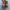 Dickies Vintage Casual Boots Pria brown photo 4