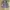 Outer Zara photo 5