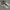 Onitsuka Tiger Streetwear Casual Sneakers Pria white gray photo 1