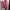 Cheongsam anak lucu photo 2