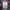 Urban Research Casual Sweater Pria red photo 5