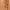 Dolce & Gabbana Casual Hoody Pria orange photo 5