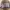 Dompet Hush Puppies 