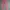 Burberry Y2K Boyfriend jeans Wanita pink photo 4
