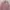 H&M Minimalist Shirt Wanita pink photo 1