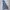 Japanese brand Vintage Hoody Pria blue photo 1