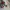 Coach Vintage Y2K Shoulder bag Wanita white gray photo 6