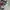 Coach Vintage Y2K Shoulder bag Wanita white gray photo 5