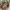 Guess Vintage Y2K Shoulder bag Wanita gold photo 7