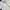 Jungle Storm Red PolkaDot White Casual Shirts photo 6