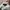 Casual Sweatshirt Pria multicolor photo 4