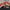 Adidas Sportswear Sneakers Pria red photo 1