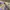 Beyond The Vines Cap photo 3