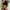 Celine Cabas Tote Bag Signature Vertical Bag Medium  photo 6