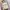 Celine Cabas Tote Bag Signature Vertical Bag Medium  photo 2