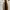 Celine Cabas Tote Bag Signature Vertical Bag Medium  photo 5
