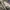 FPAR X NIKE SB BLAZER LOW photo 10