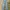 Casual Jeans Pria multicolor photo 2