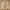 LEVIS 505 REGULAR FIT STRAIGHT LEG KHAKI DENIM JEANS