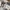 BIG SIZE LEVIS 501 REGULAR STRAIGHT FIT LIGHT GRAY MEXICO DE photo 3