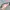 Rayban Wayfarer Black Doff Classic Green Lens photo 6